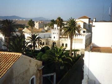 a white building with palm trees