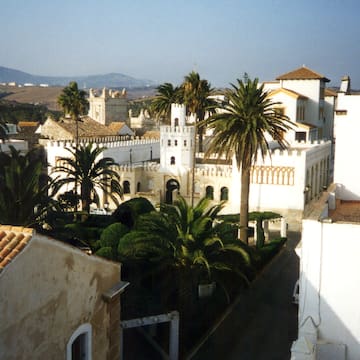 a white building with palm trees