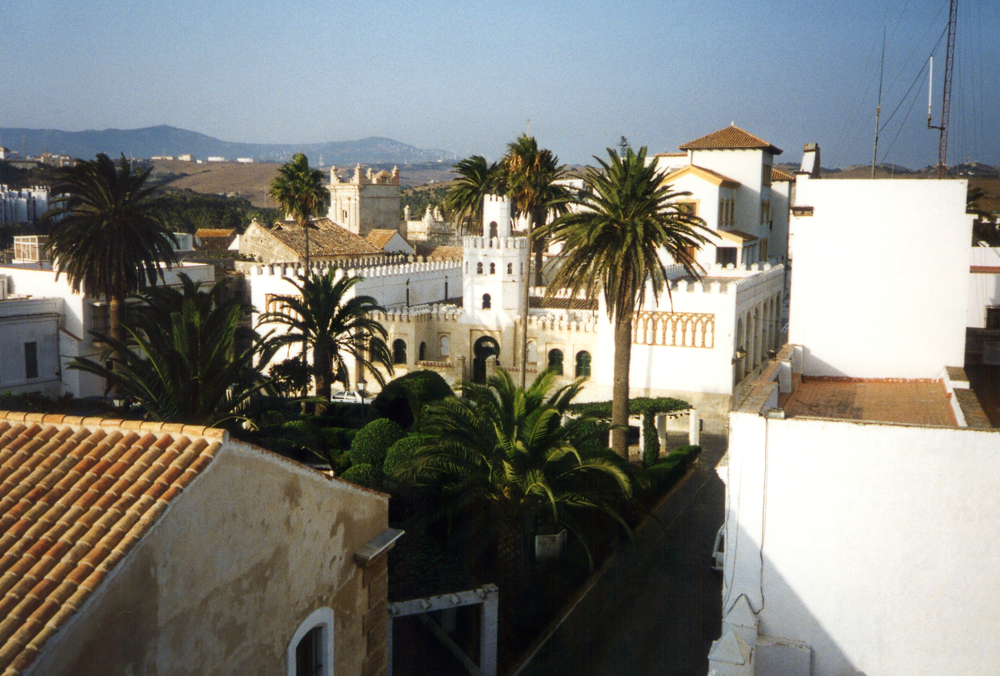 a white building with palm trees