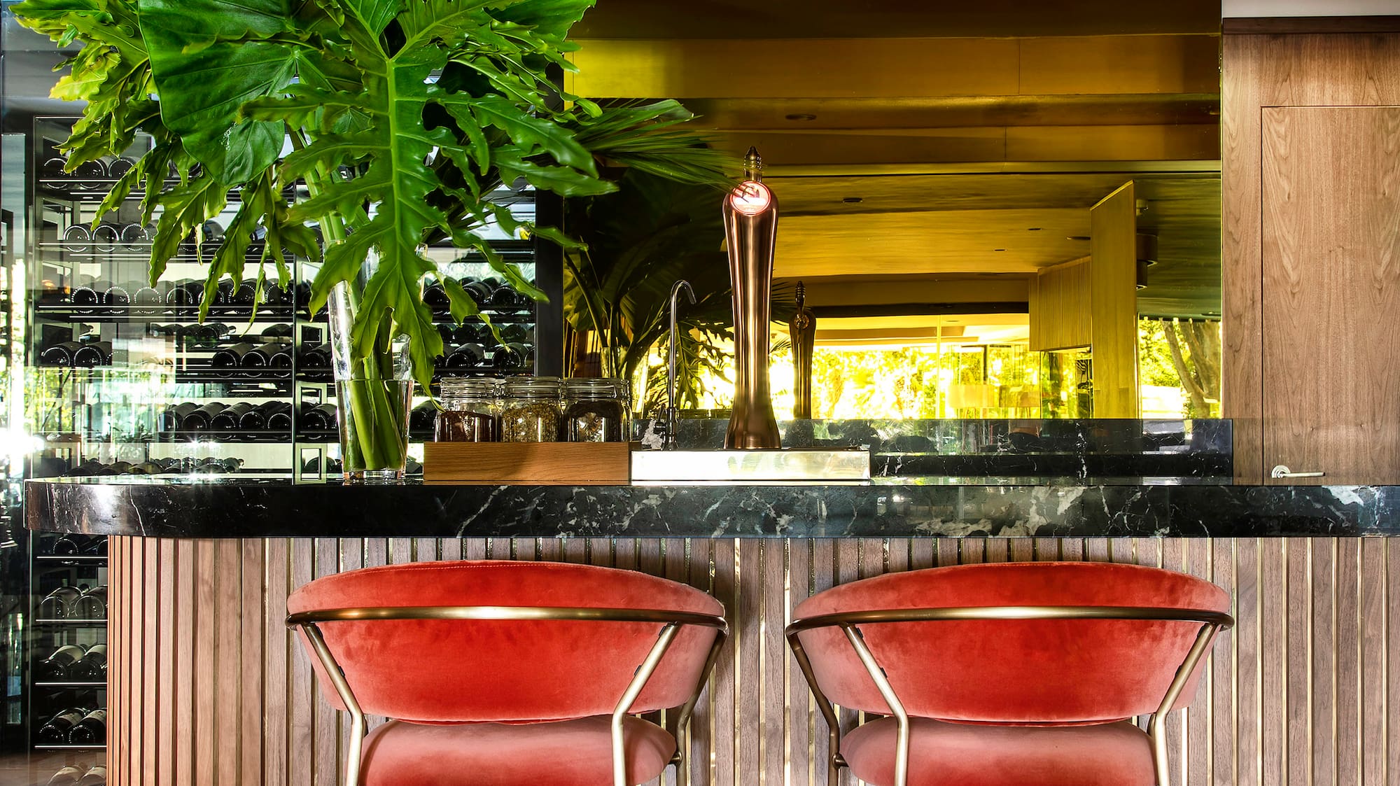 a bar with chairs and a plant in front of it