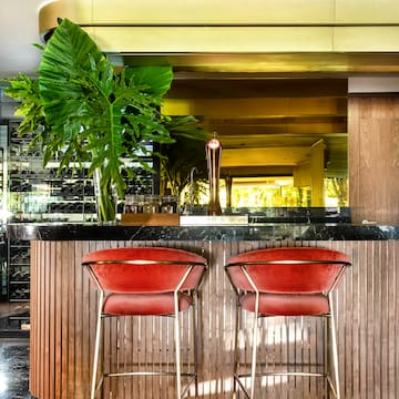 a bar with chairs and a plant in front of it