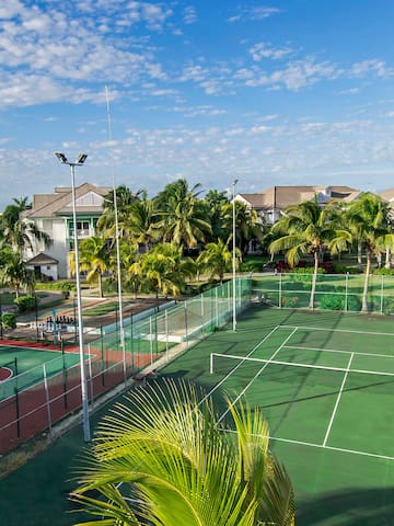 a tennis court with palm trees and houses