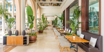 a long room with tables and chairs and plants