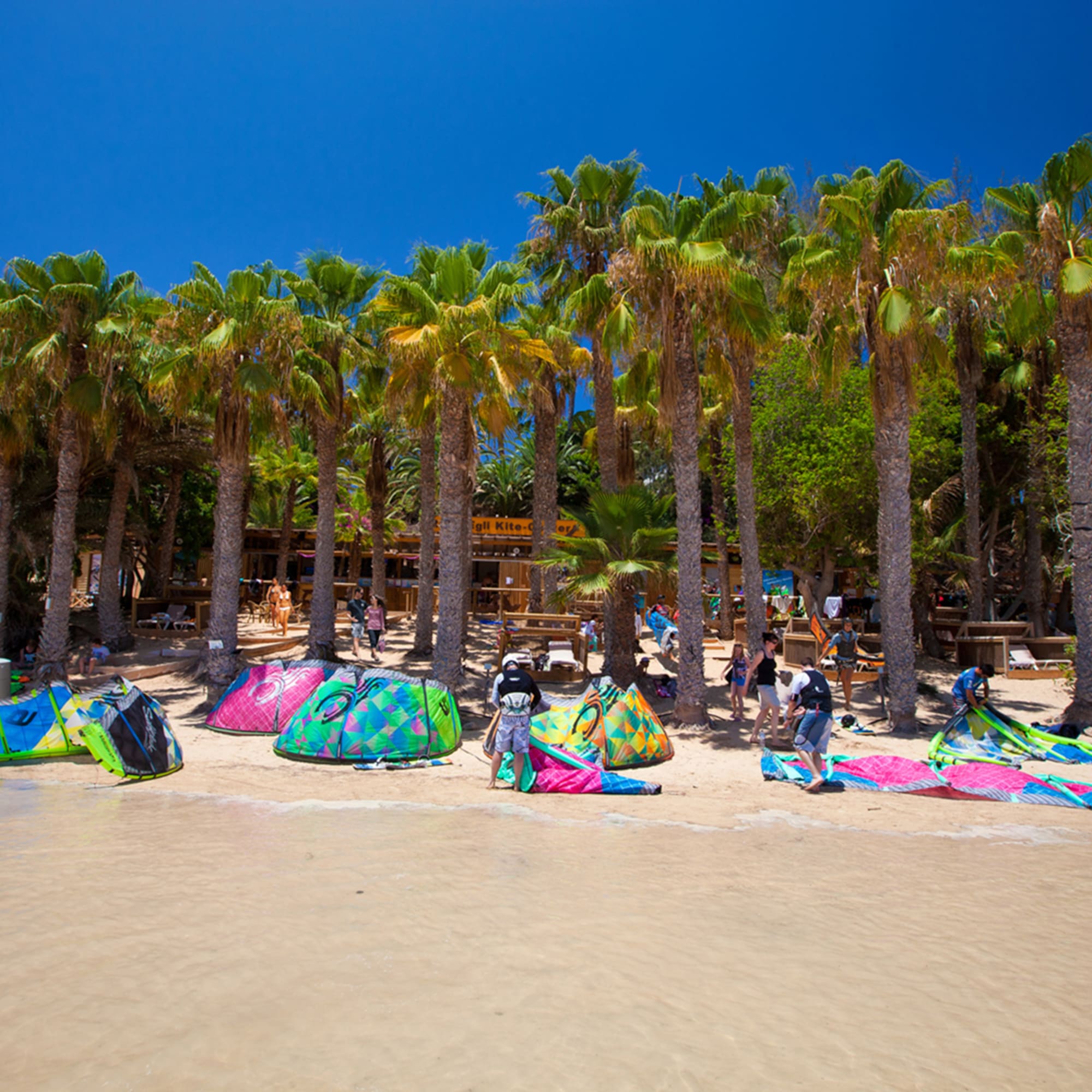 people on a beach with kites