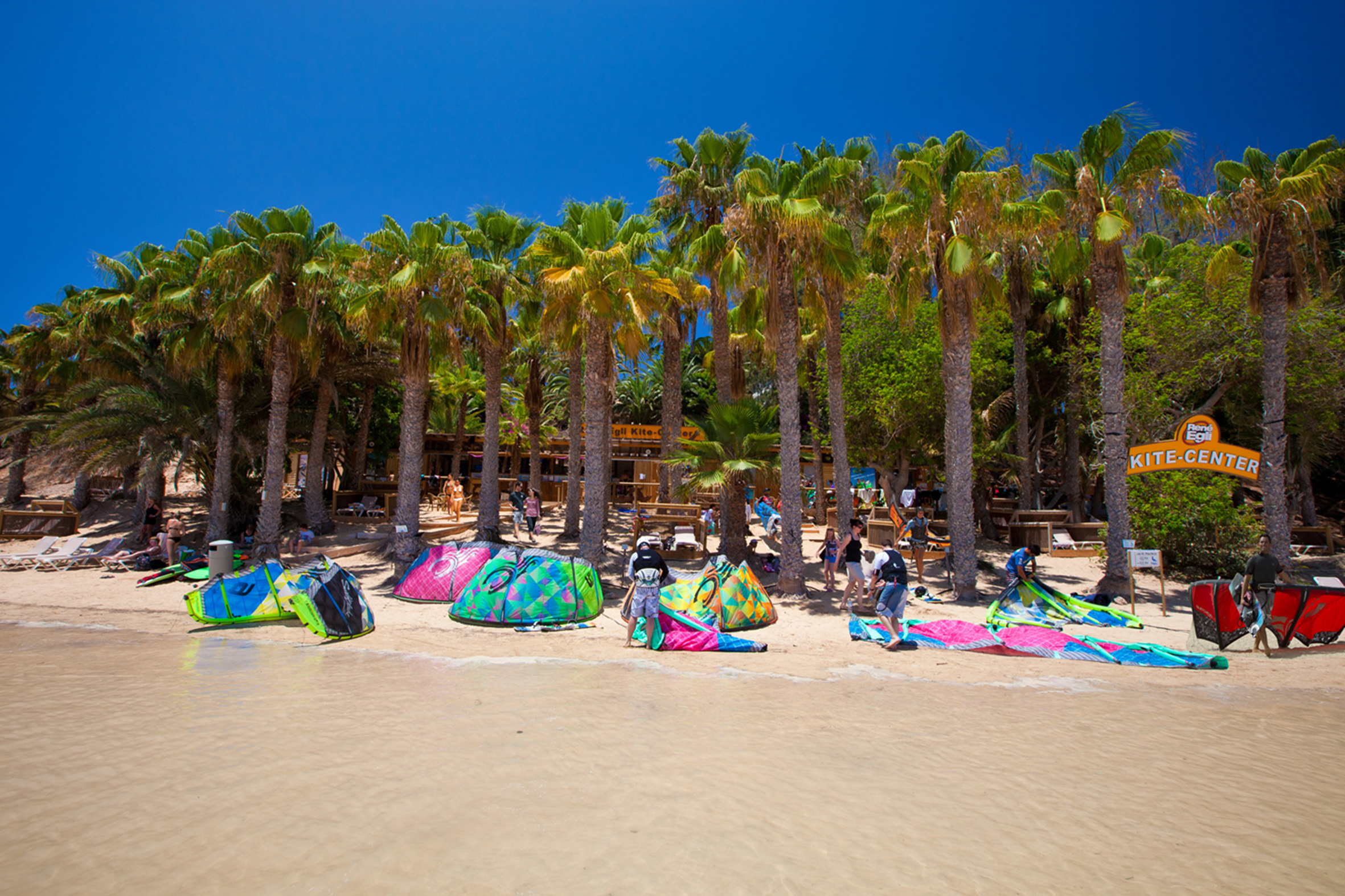 Tropical kitesurfing beach with colorful kites, palm trees, and a kite center.