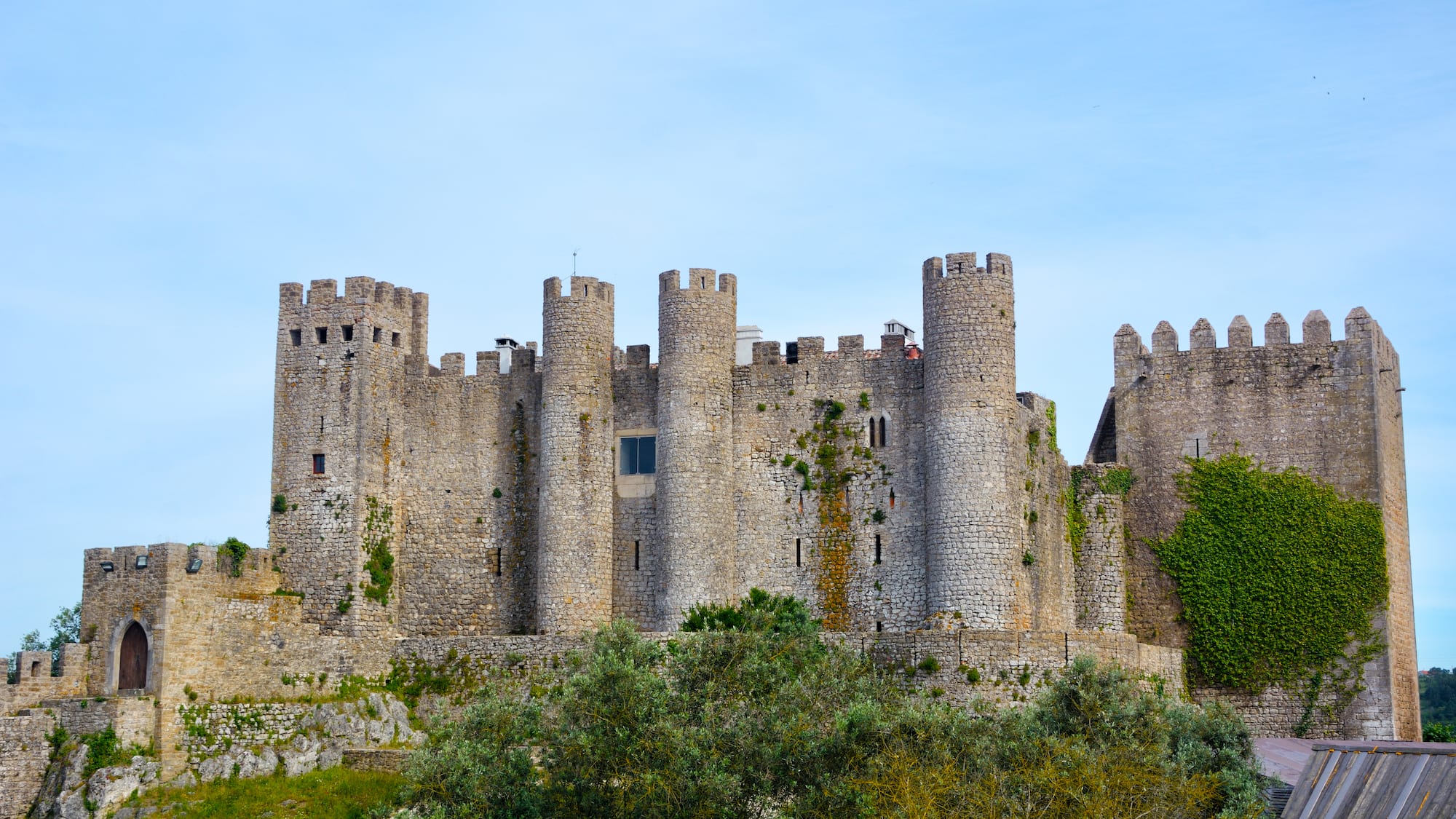 a castle with trees around it