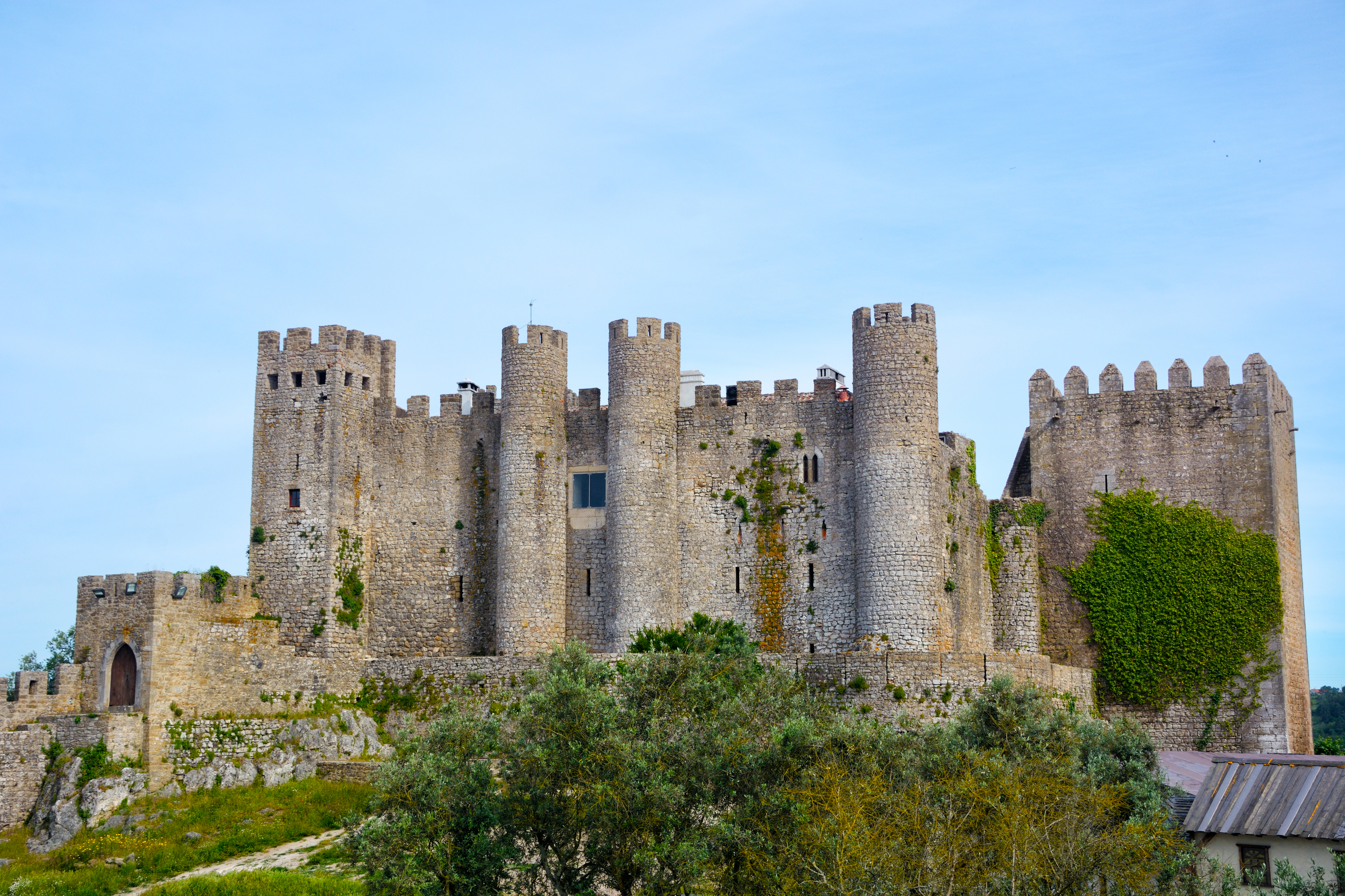 a castle with trees around it