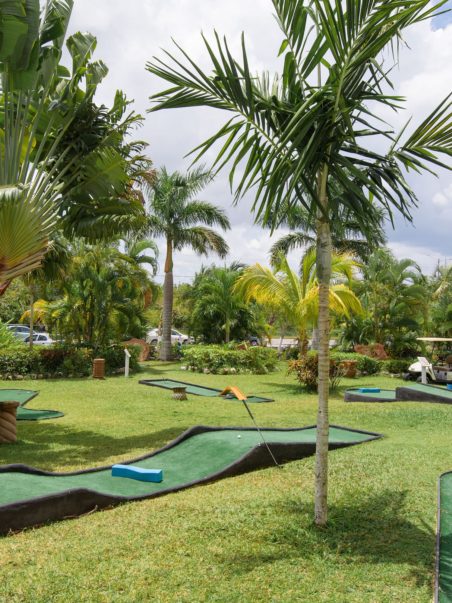 a golf course with palm trees