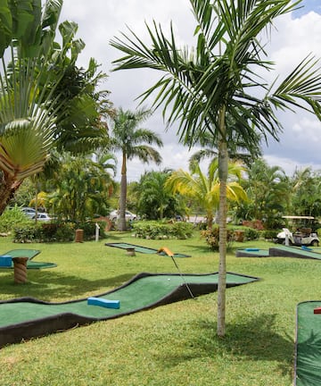 a golf course with palm trees