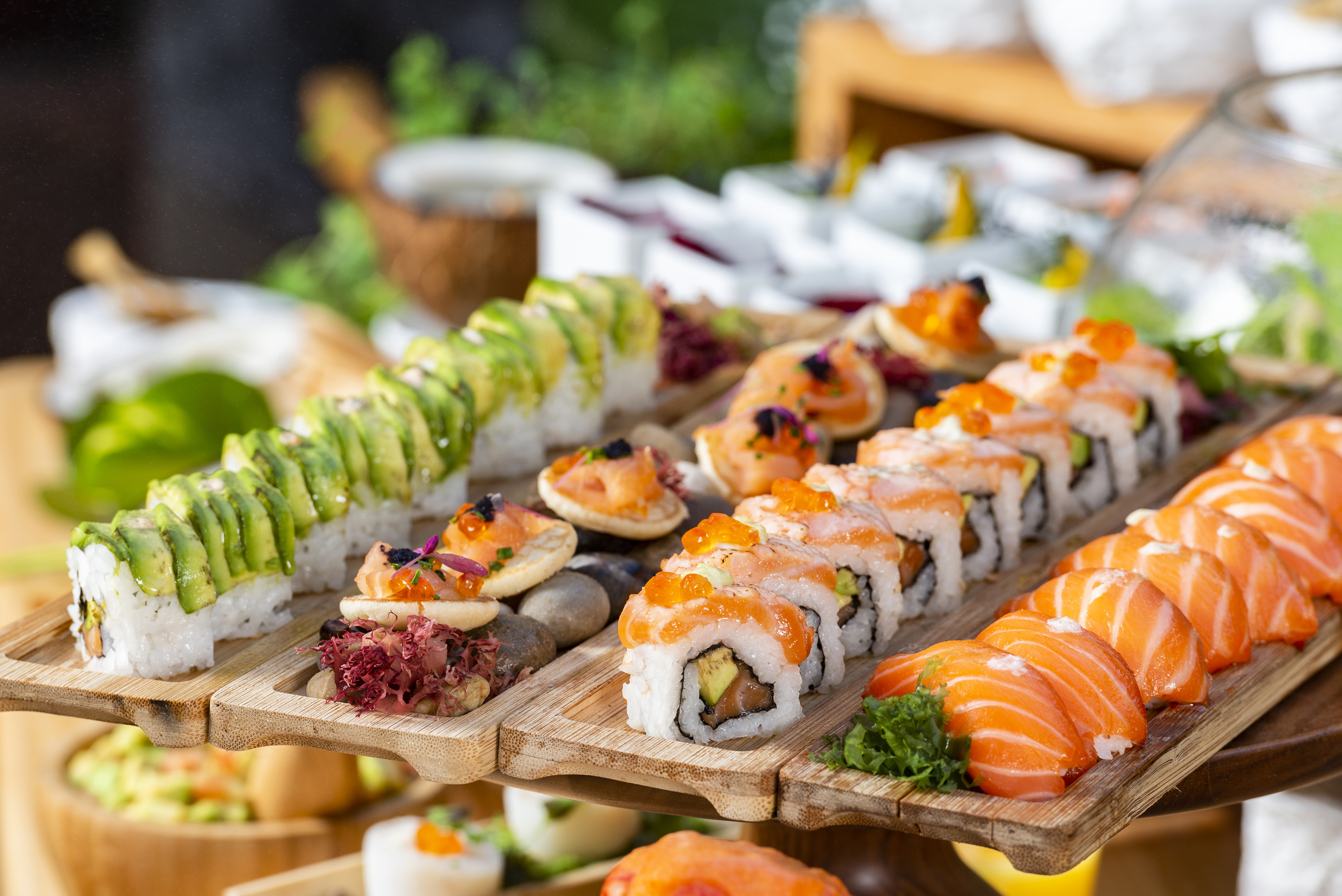 Vibrant sushi platter with salmon nigiri, avocado rolls, and salmon maki.