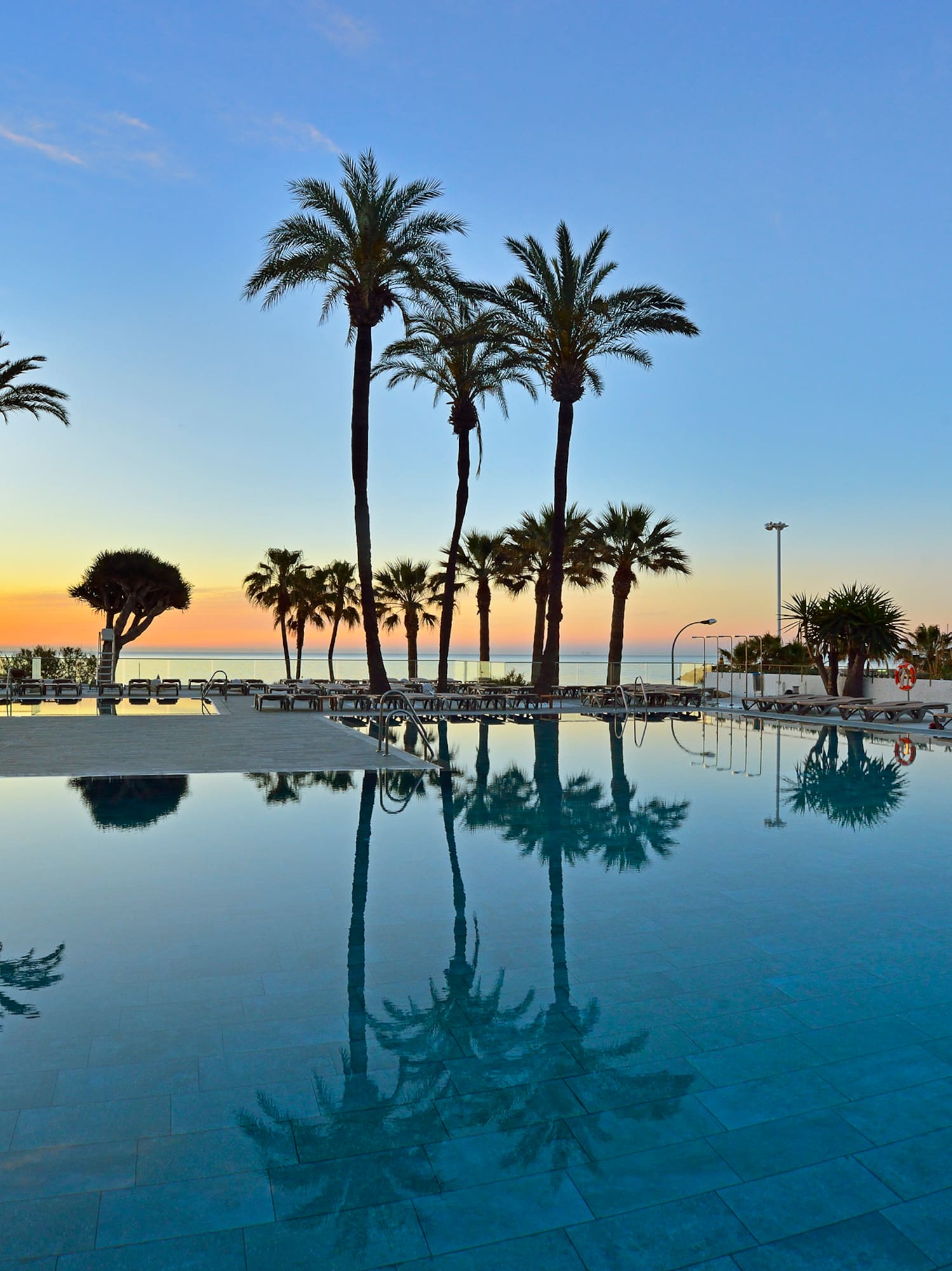 a pool with palm trees and a beach in the background
