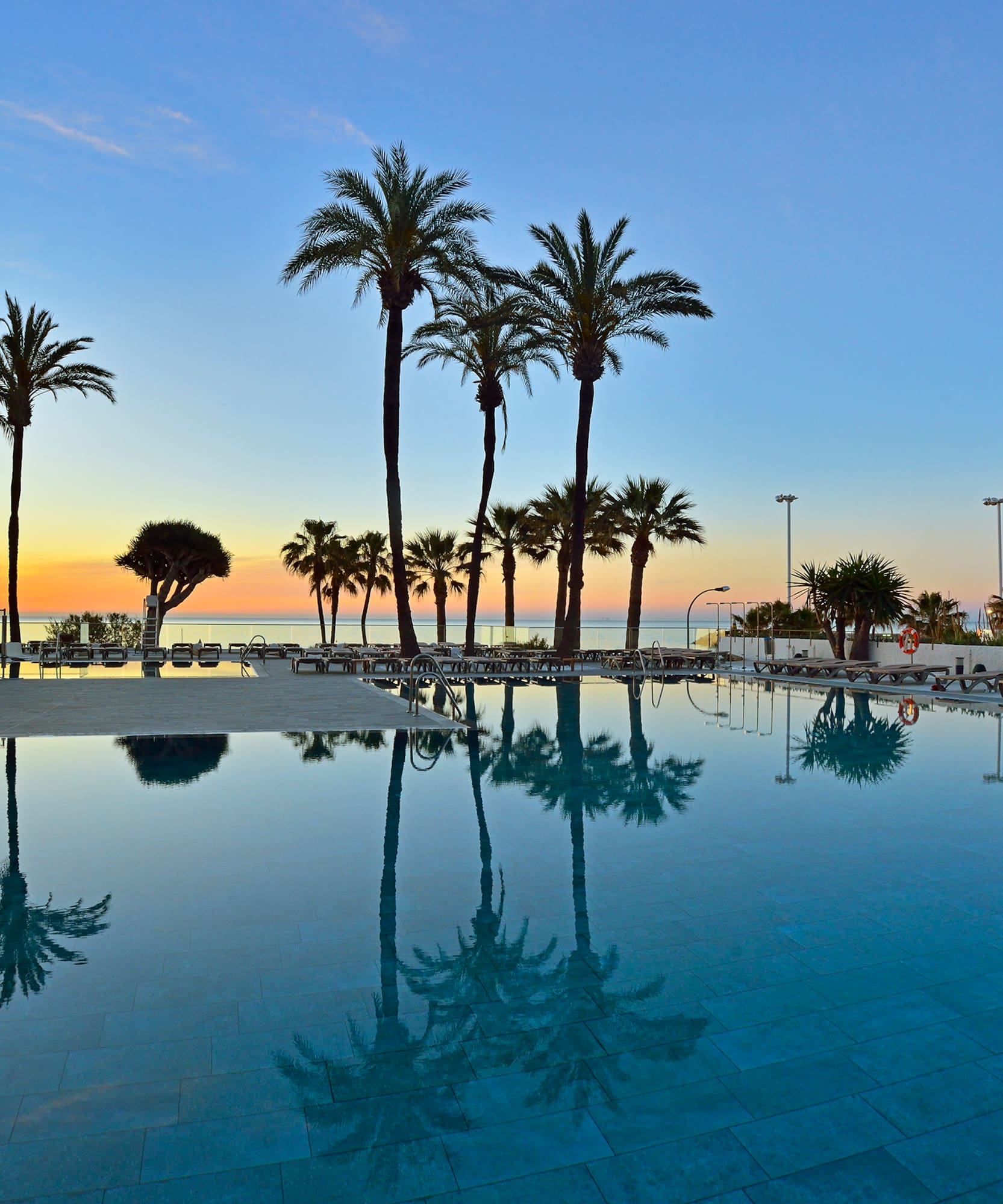a pool with palm trees and a beach in the background