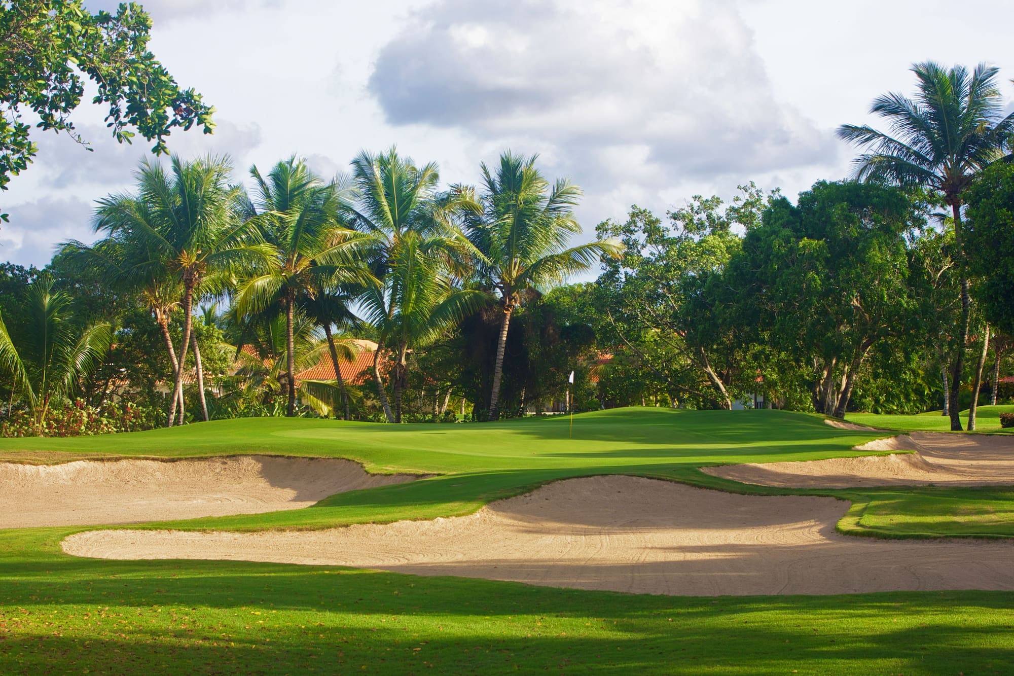 a golf course with sand bunkers and palm trees