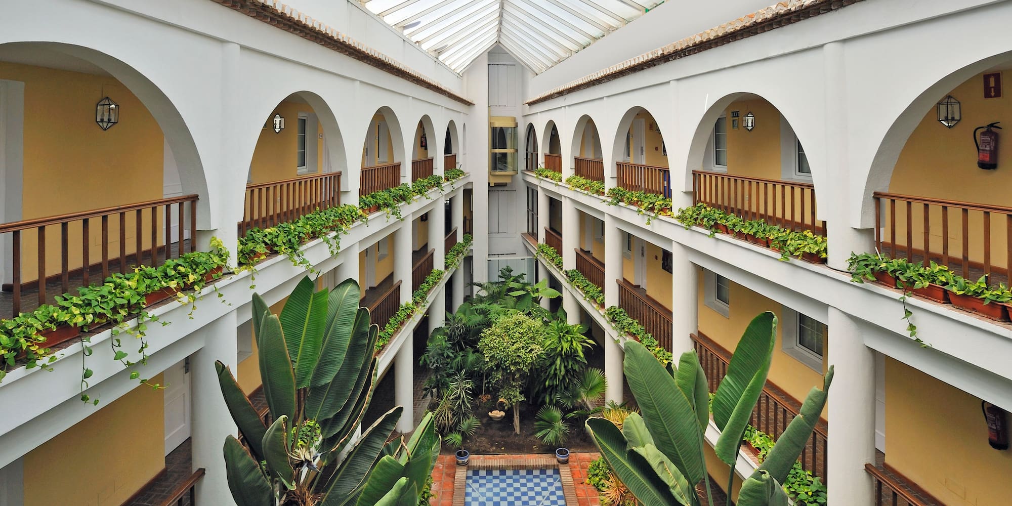 a courtyard with many plants