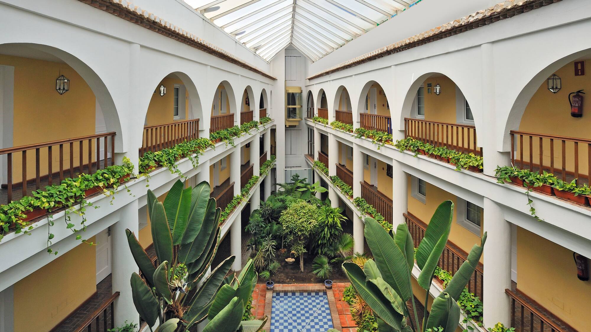 a courtyard with many plants