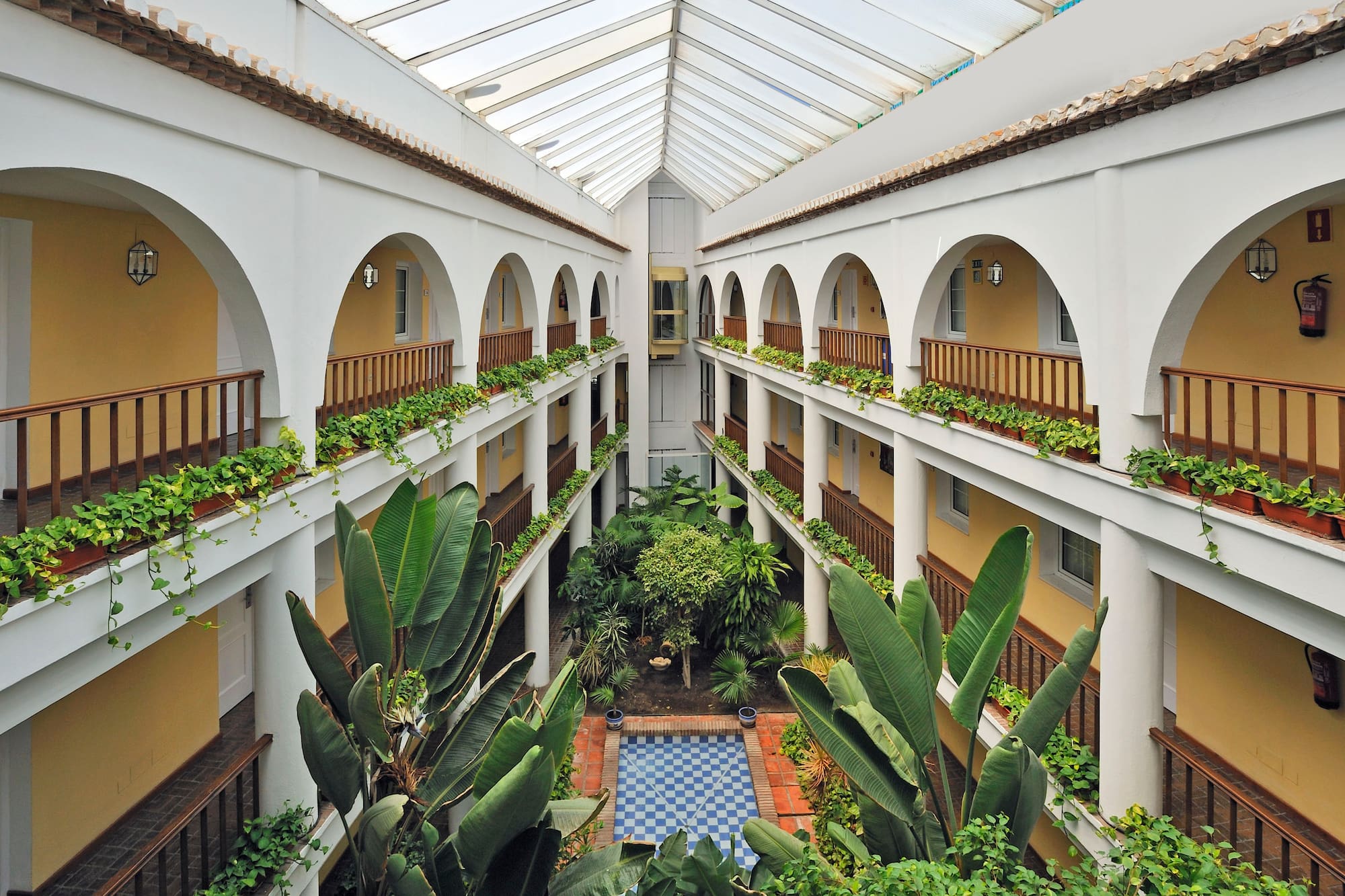 a courtyard with many plants
