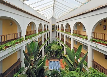 a courtyard with many plants
