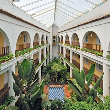 a courtyard with many plants