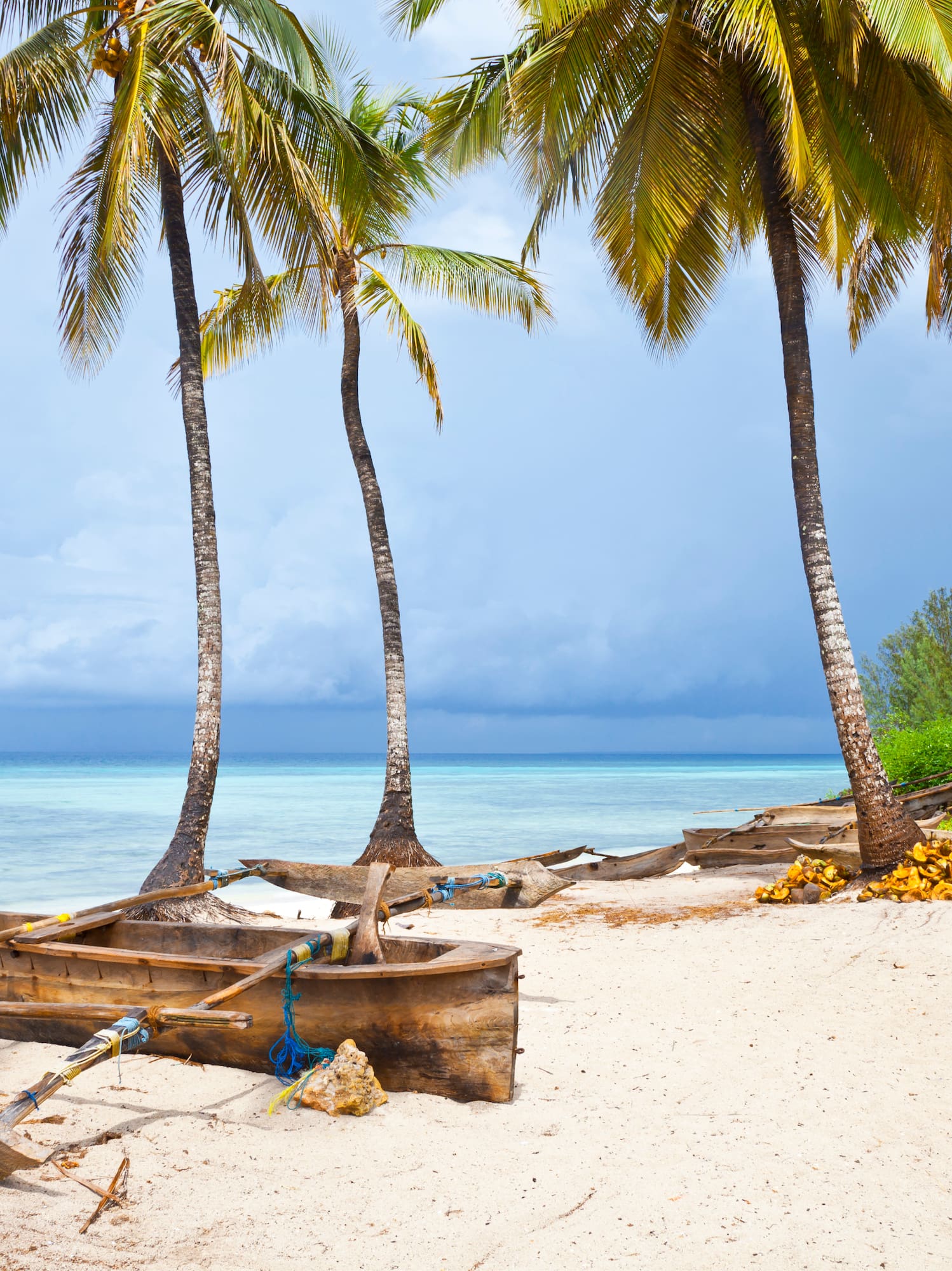 a boat on a beach with palm trees