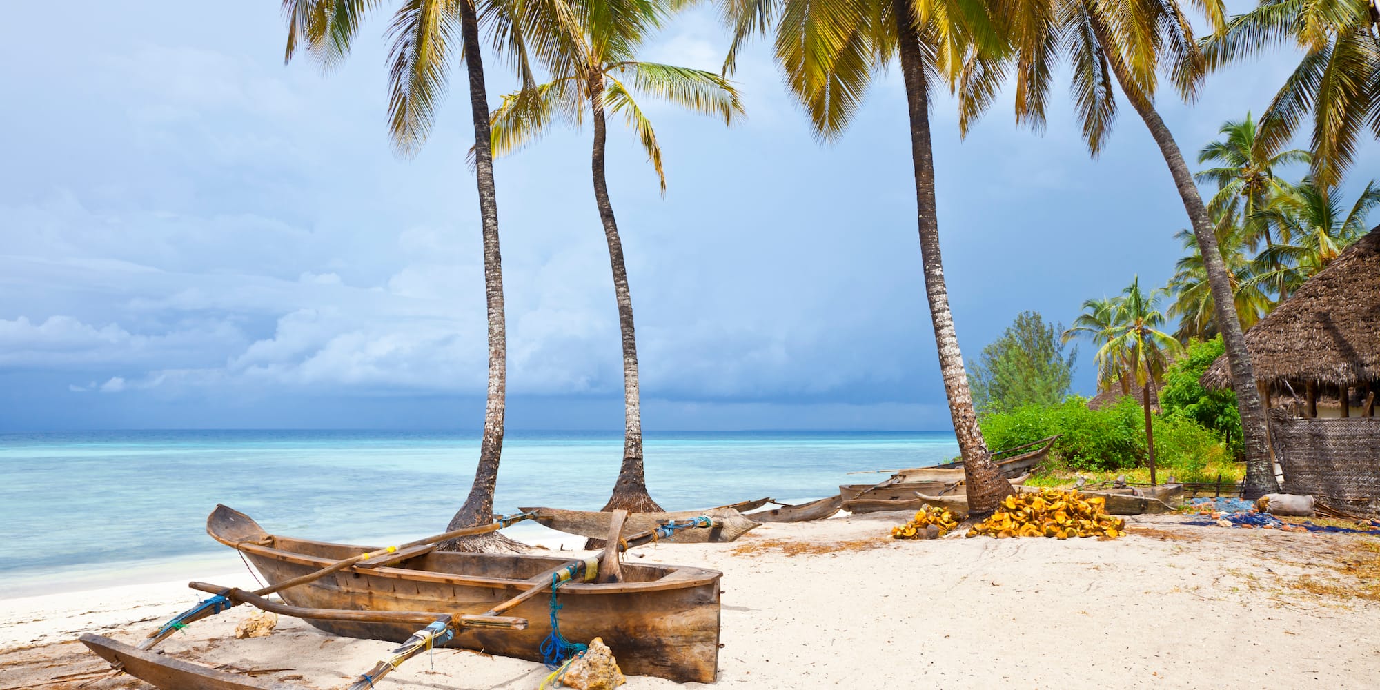 a boat on a beach with palm trees