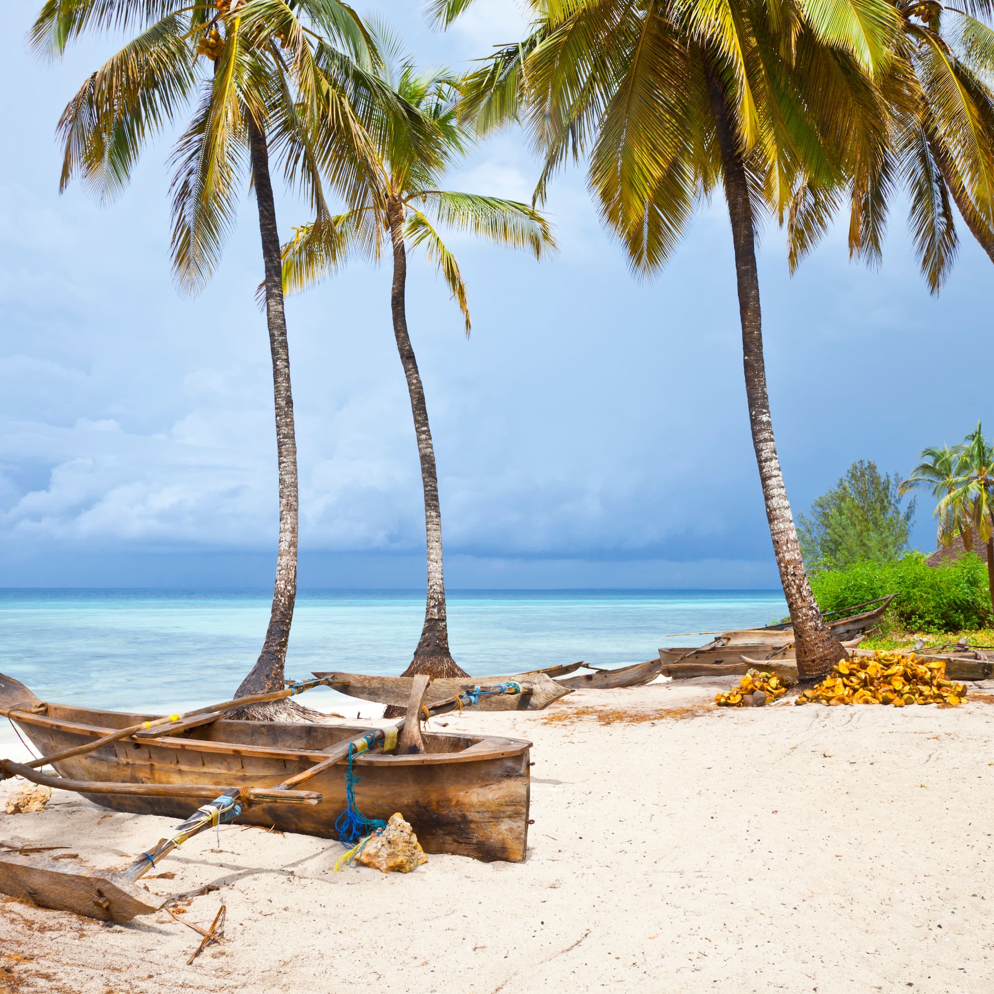 a boat on a beach with palm trees