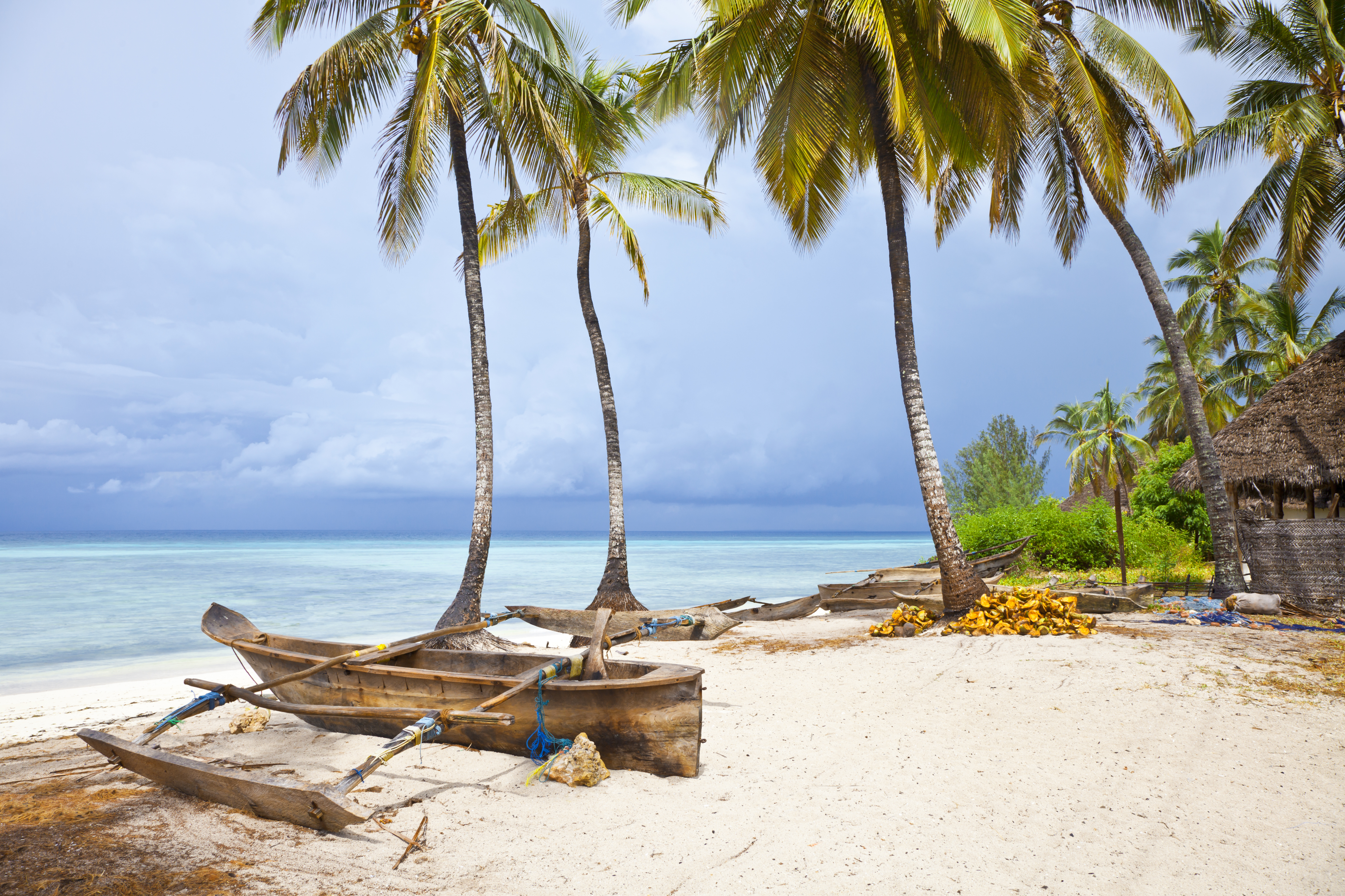 a boat on a beach with palm trees