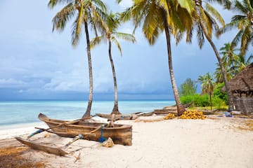 a boat on a beach with palm trees