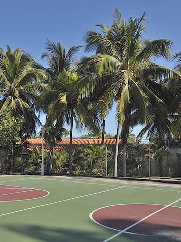 a basketball court with palm trees