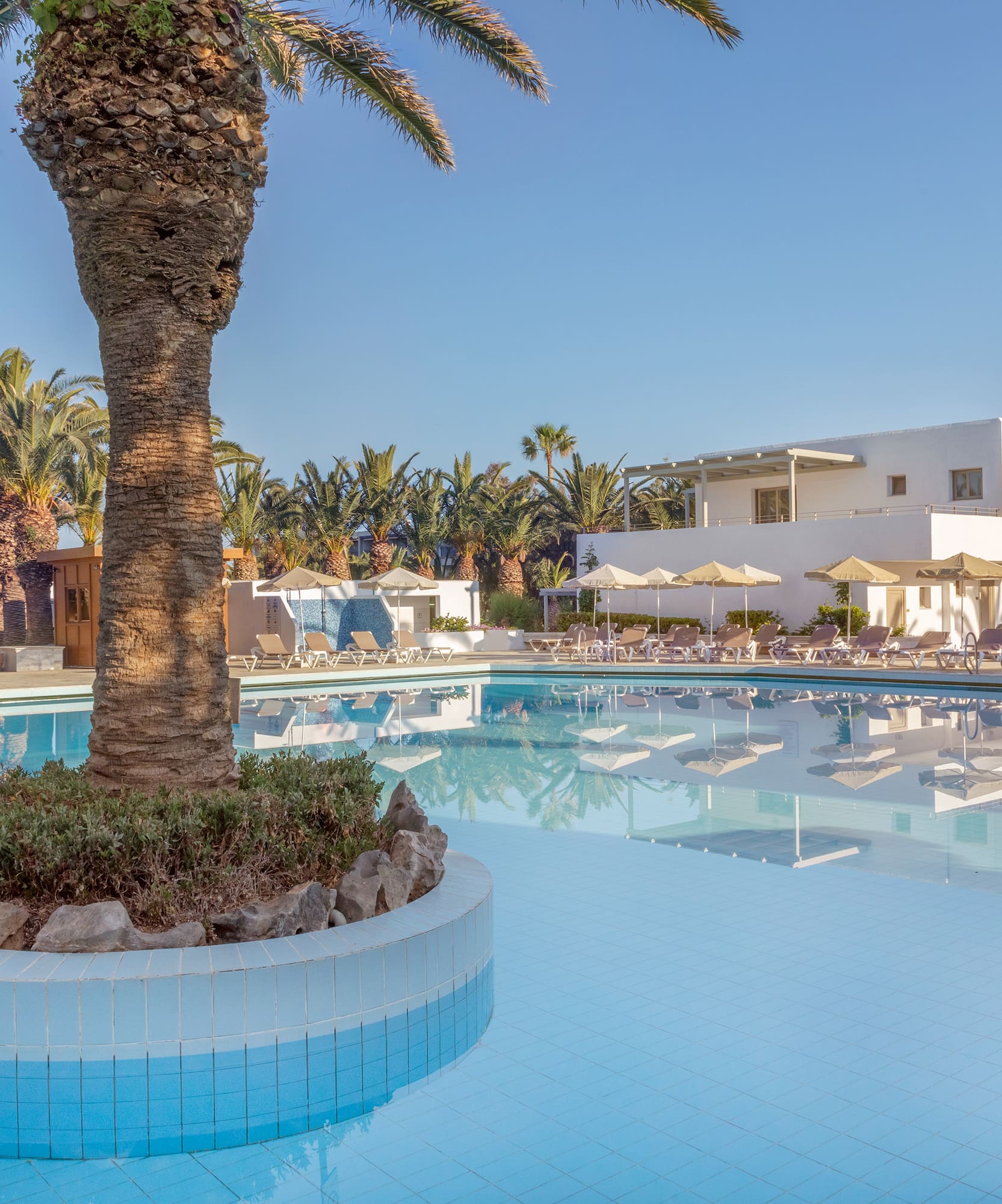 a pool with a palm tree in it