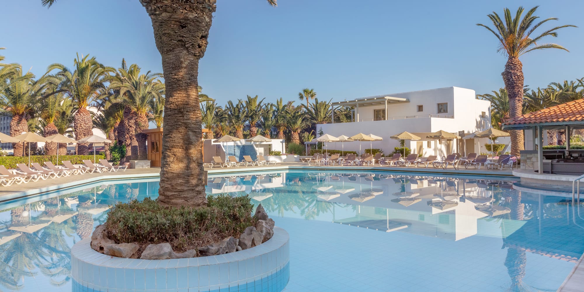 a pool with a palm tree in it