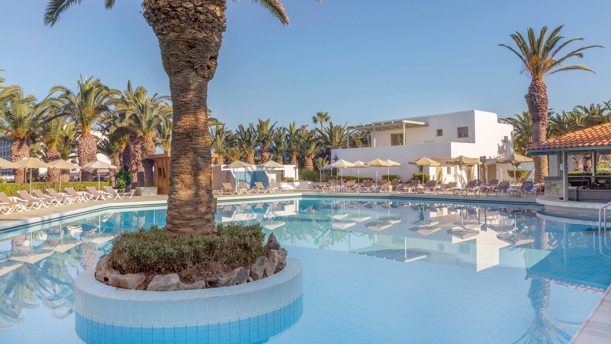 a pool with a palm tree in it