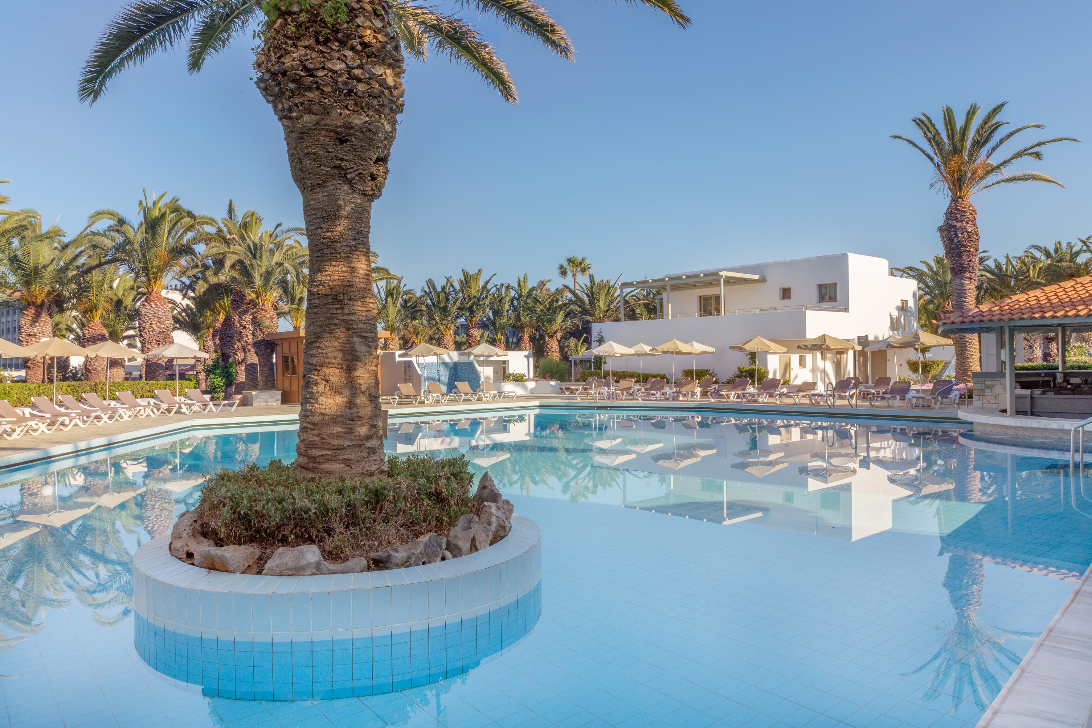 Tropical hotel pool with palm trees, sun loungers, and white buildings.