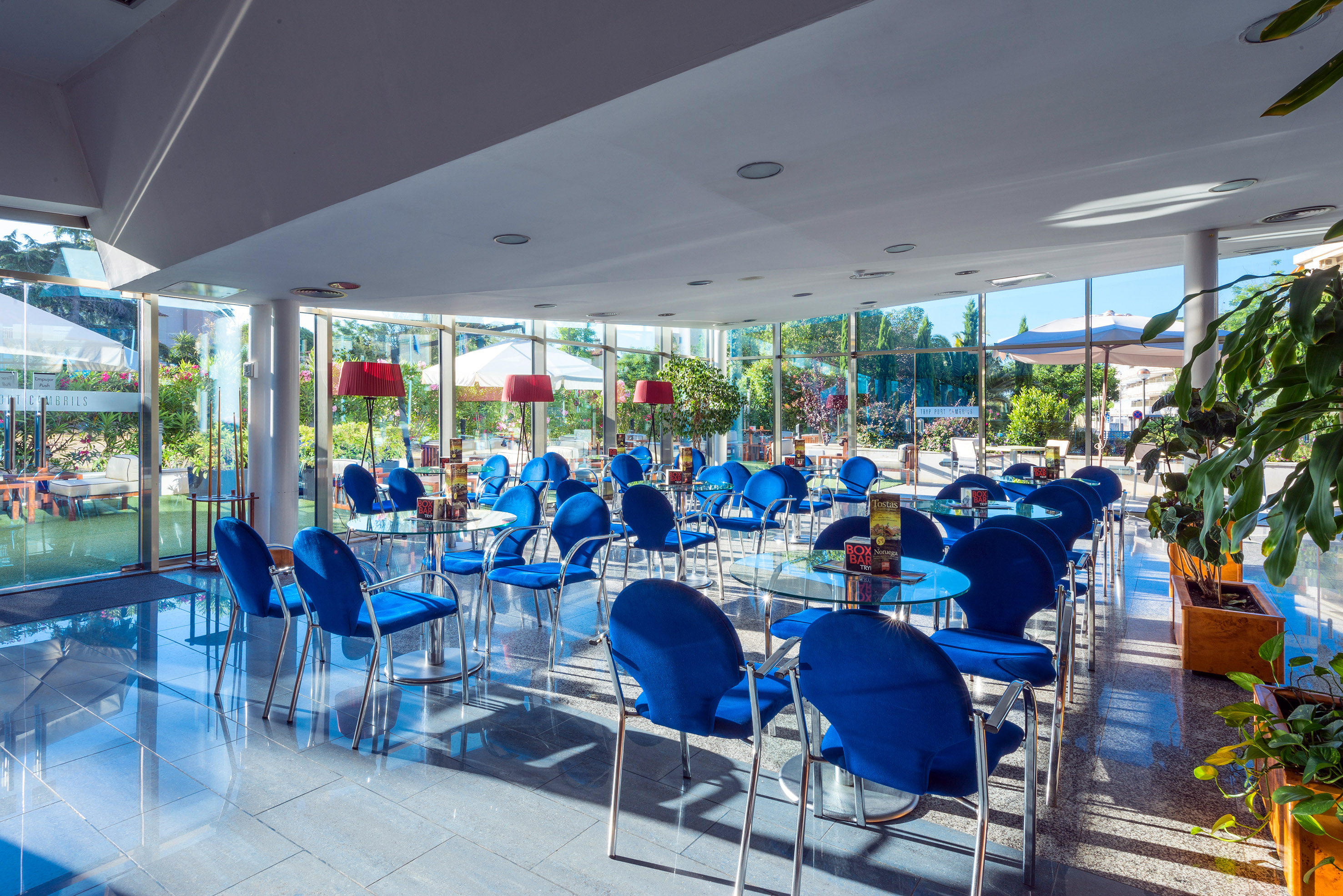 Spacious, bright cafe interior with blue chairs, glass tables, and garden views.