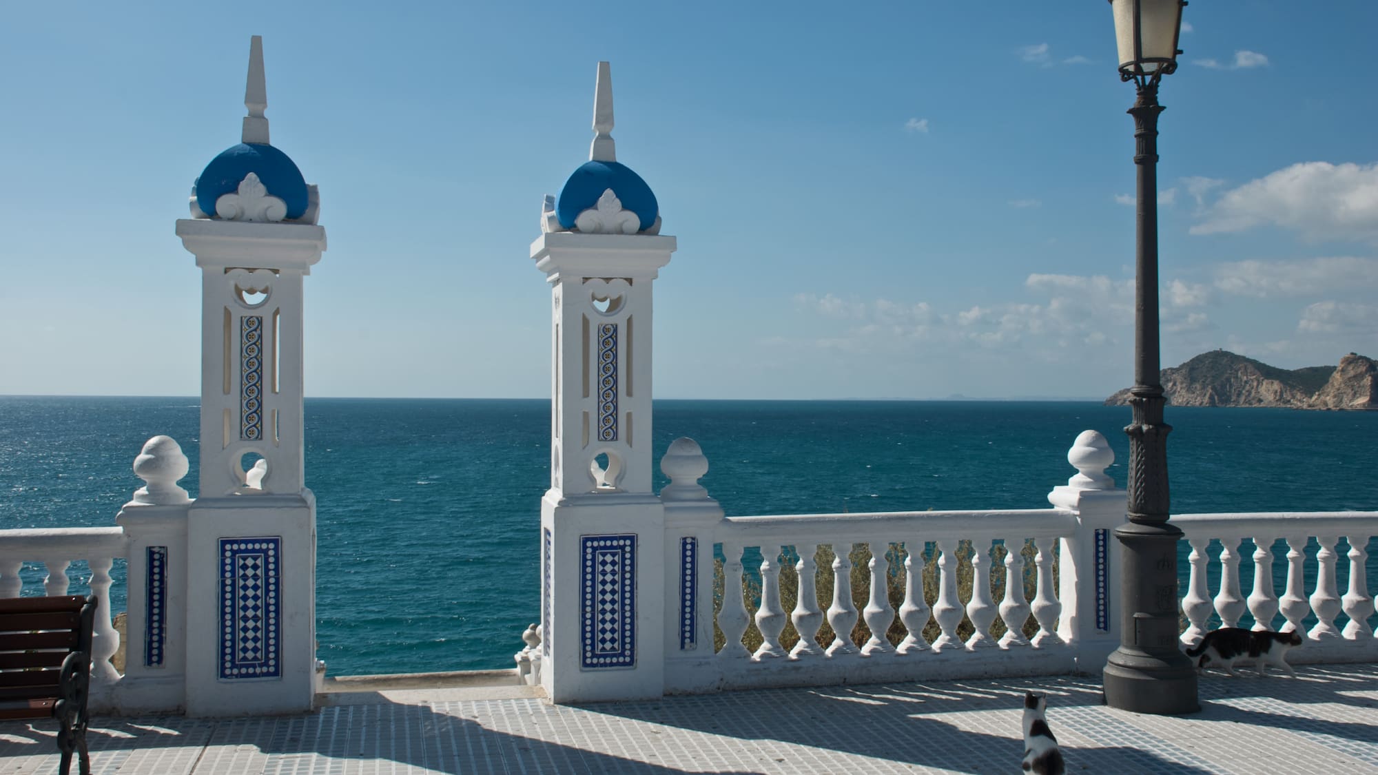 a cat walking on a walkway next to a lamp post with Macau Tower in the background