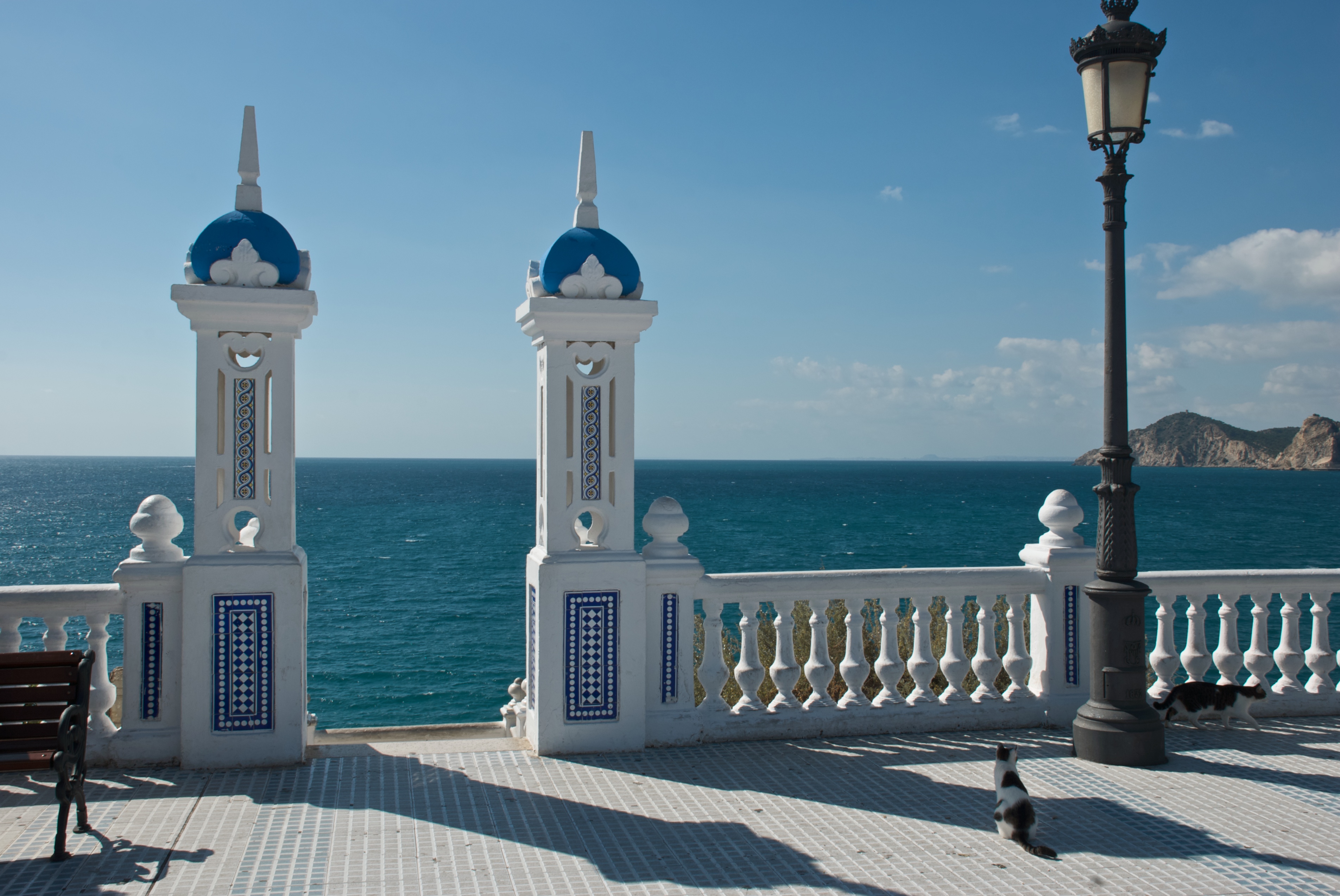 a cat walking on a walkway next to a lamp post with Macau Tower in the background