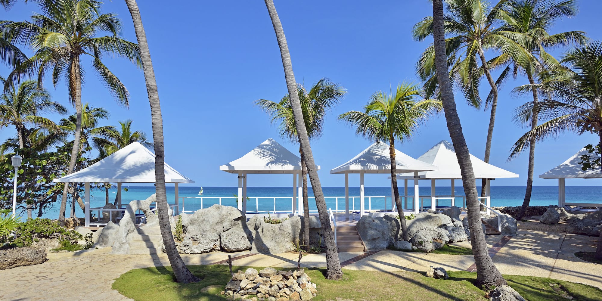 a group of palm trees next to a beach