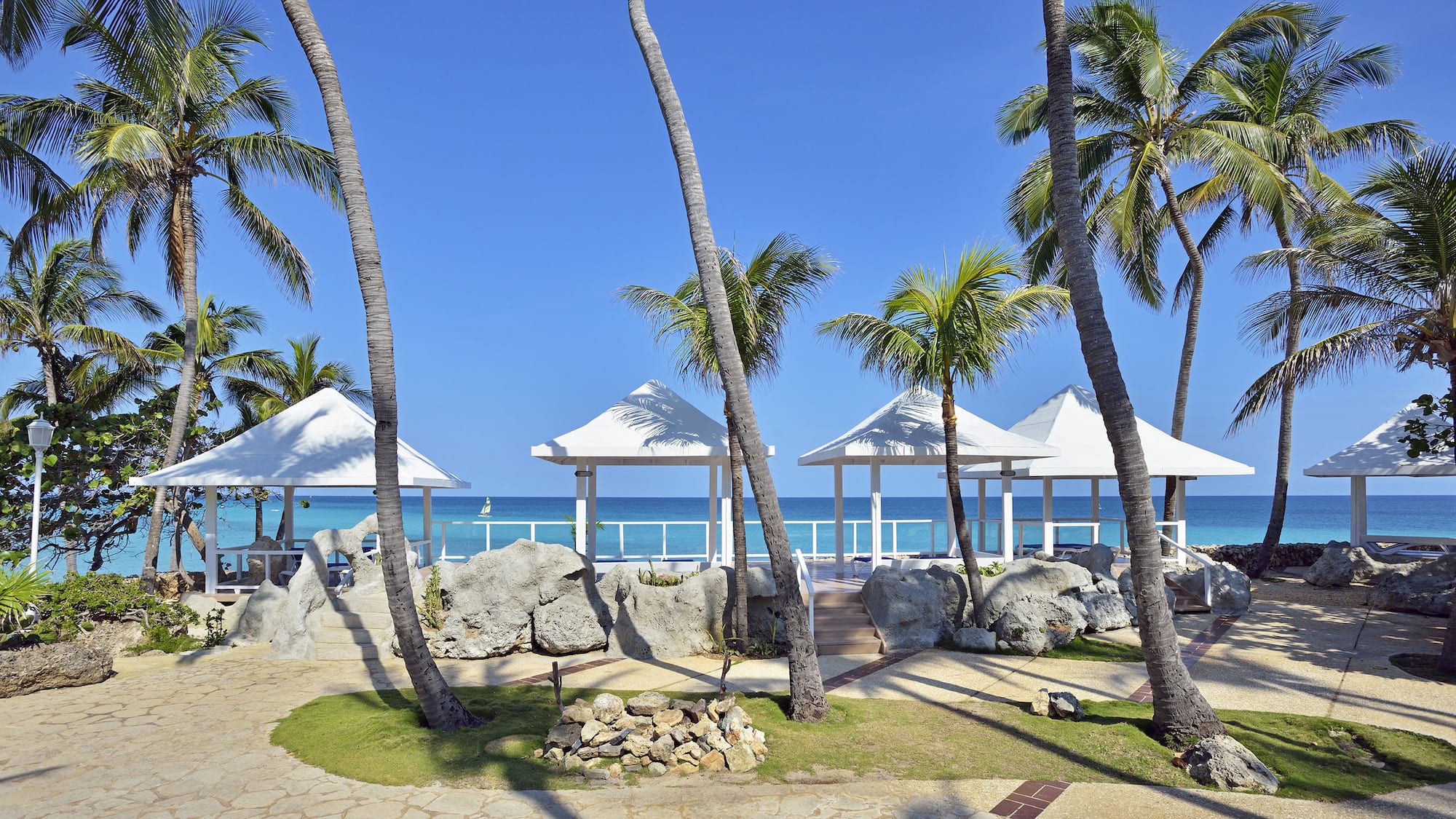a group of palm trees next to a beach