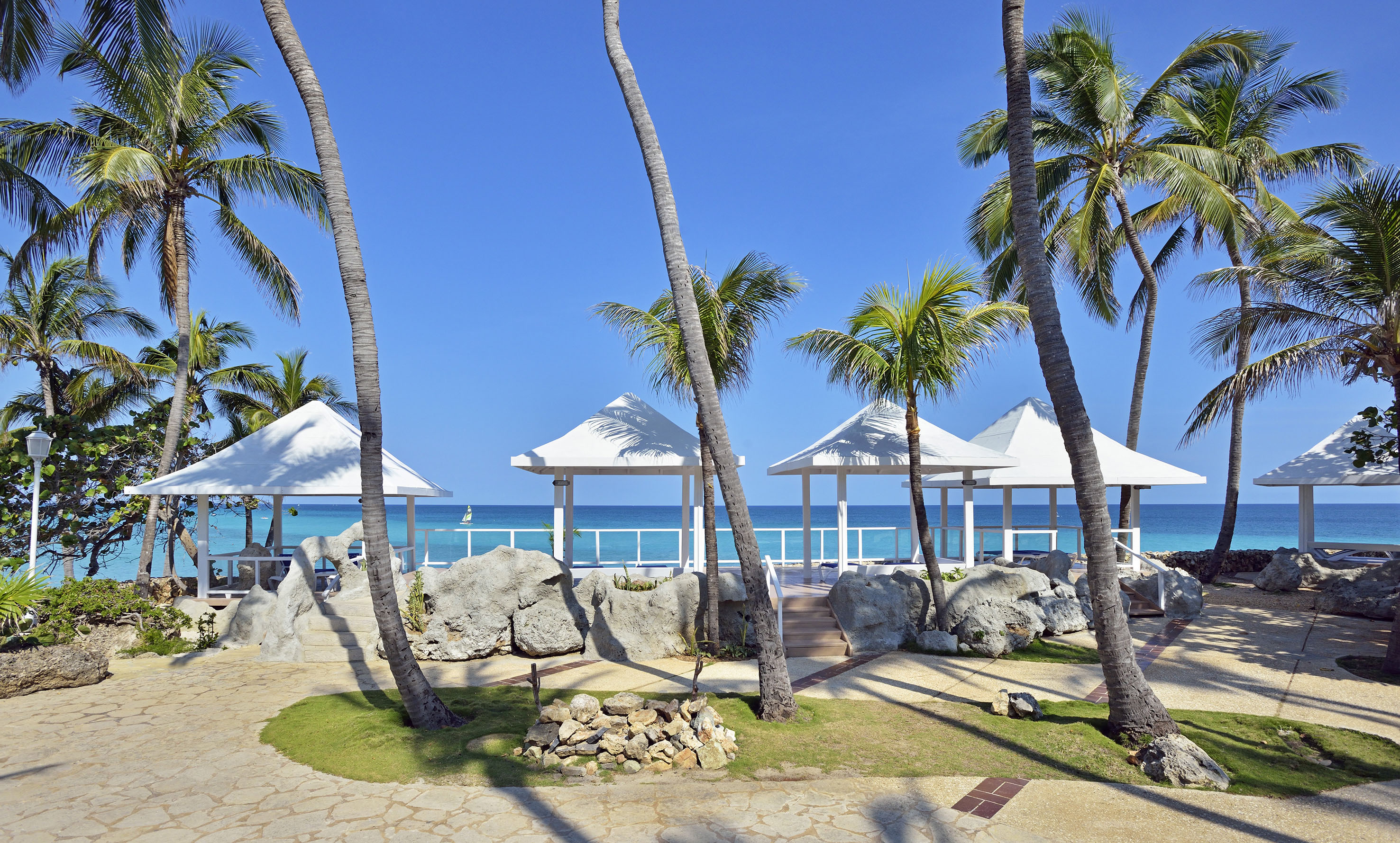 a group of palm trees next to a beach