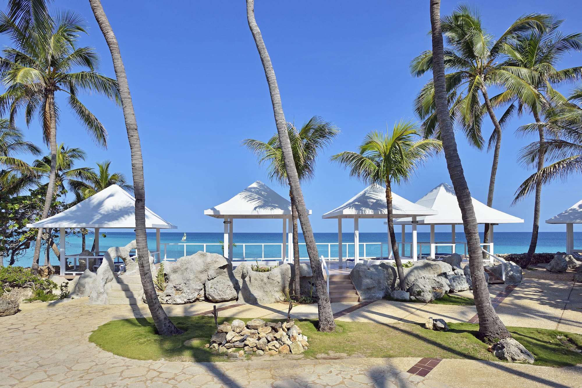 a group of palm trees next to a beach