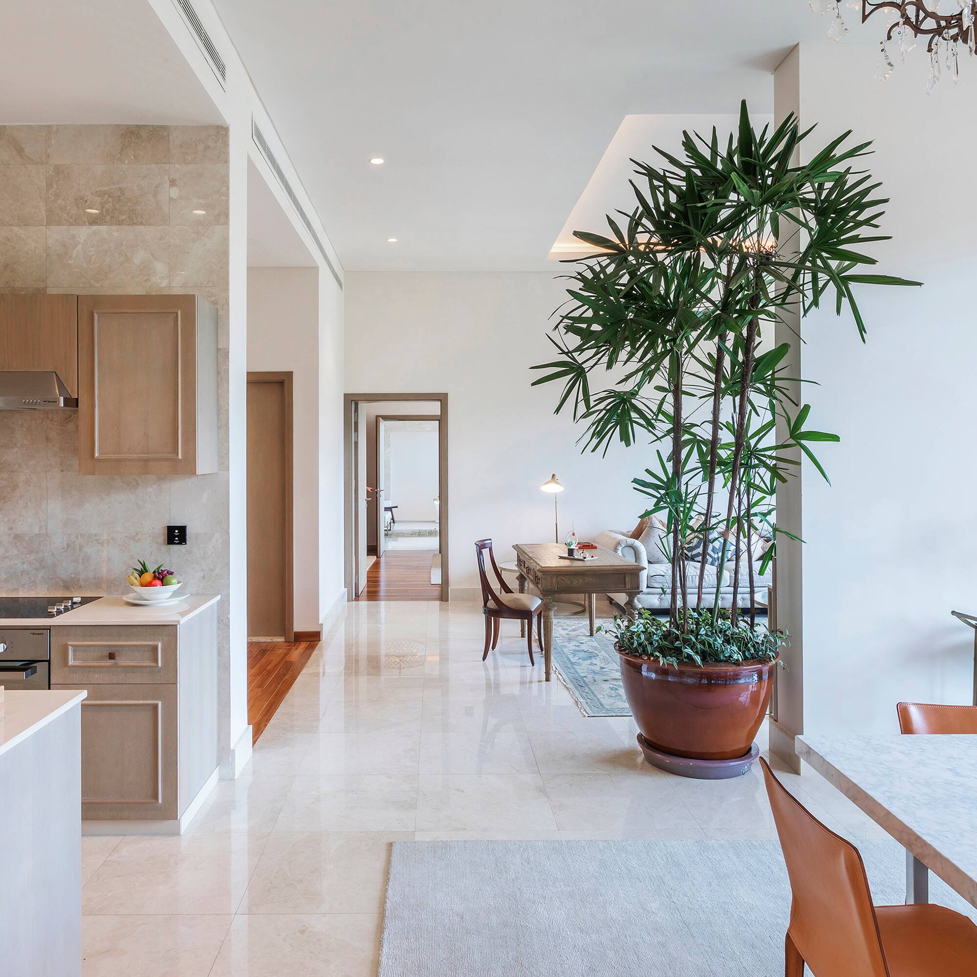 a kitchen and dining area with a potted plant