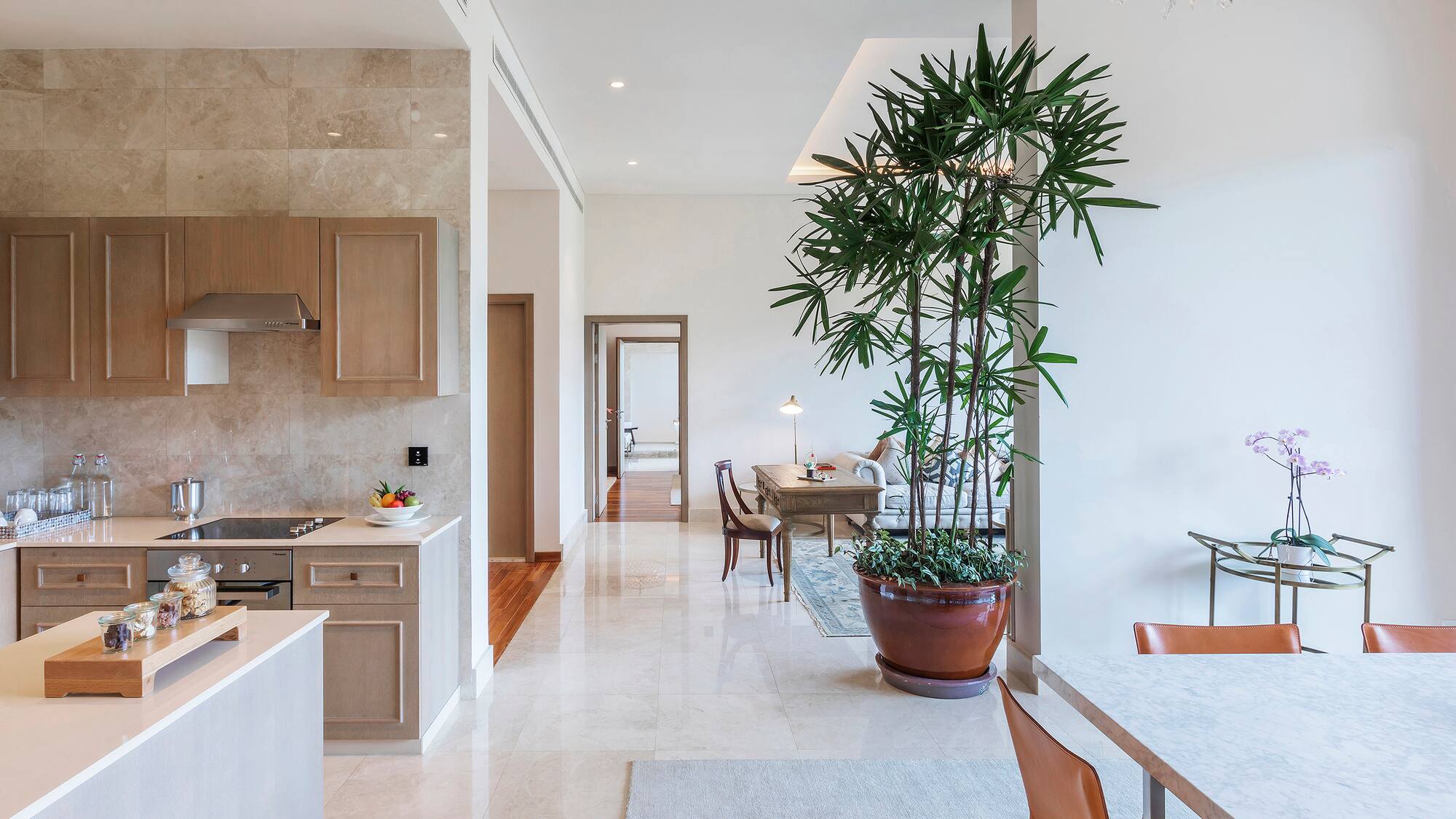 a kitchen and dining area with a potted plant