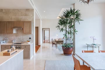 a kitchen and dining area with a potted plant