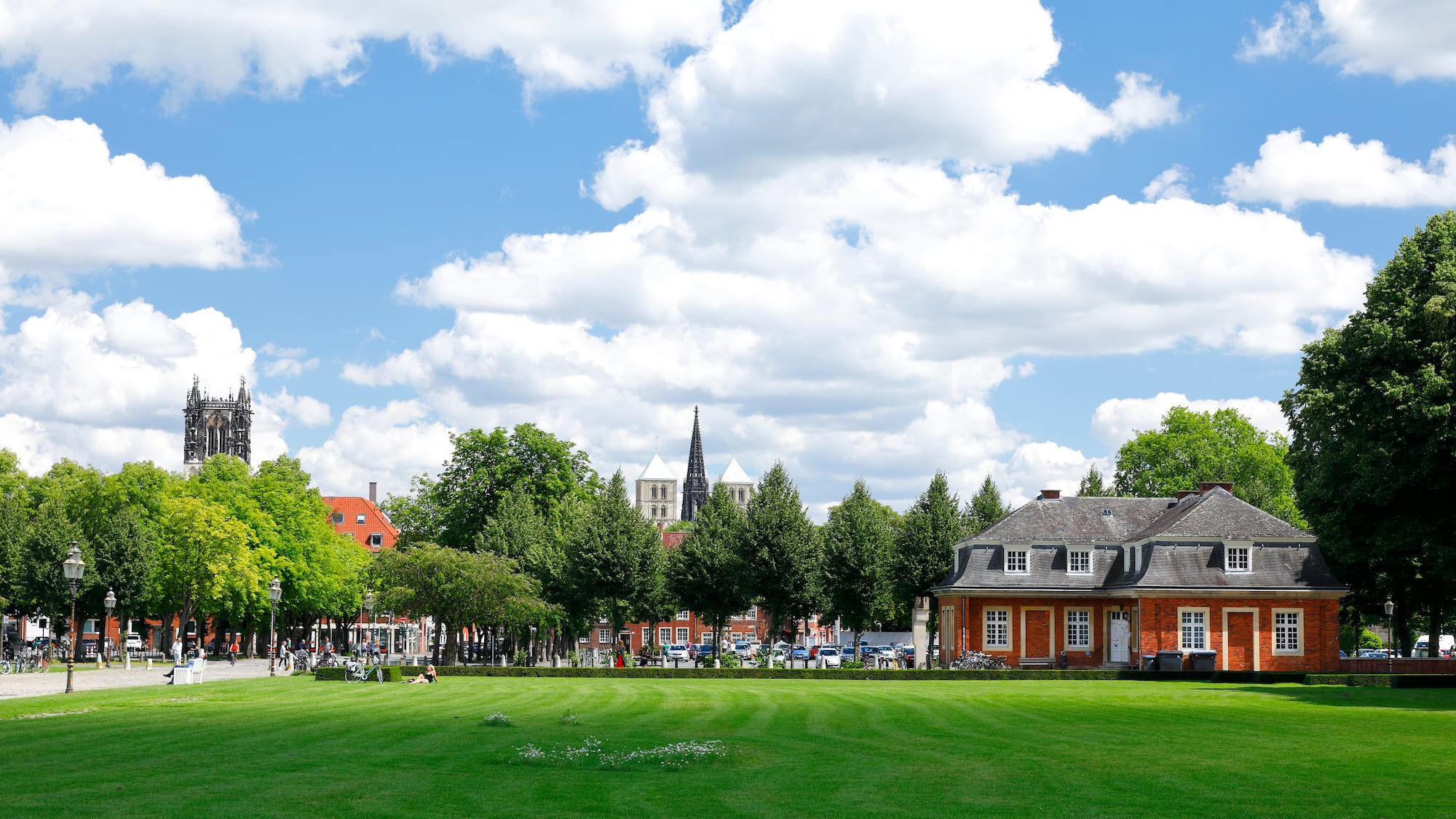 a green lawn with buildings and trees in the background
