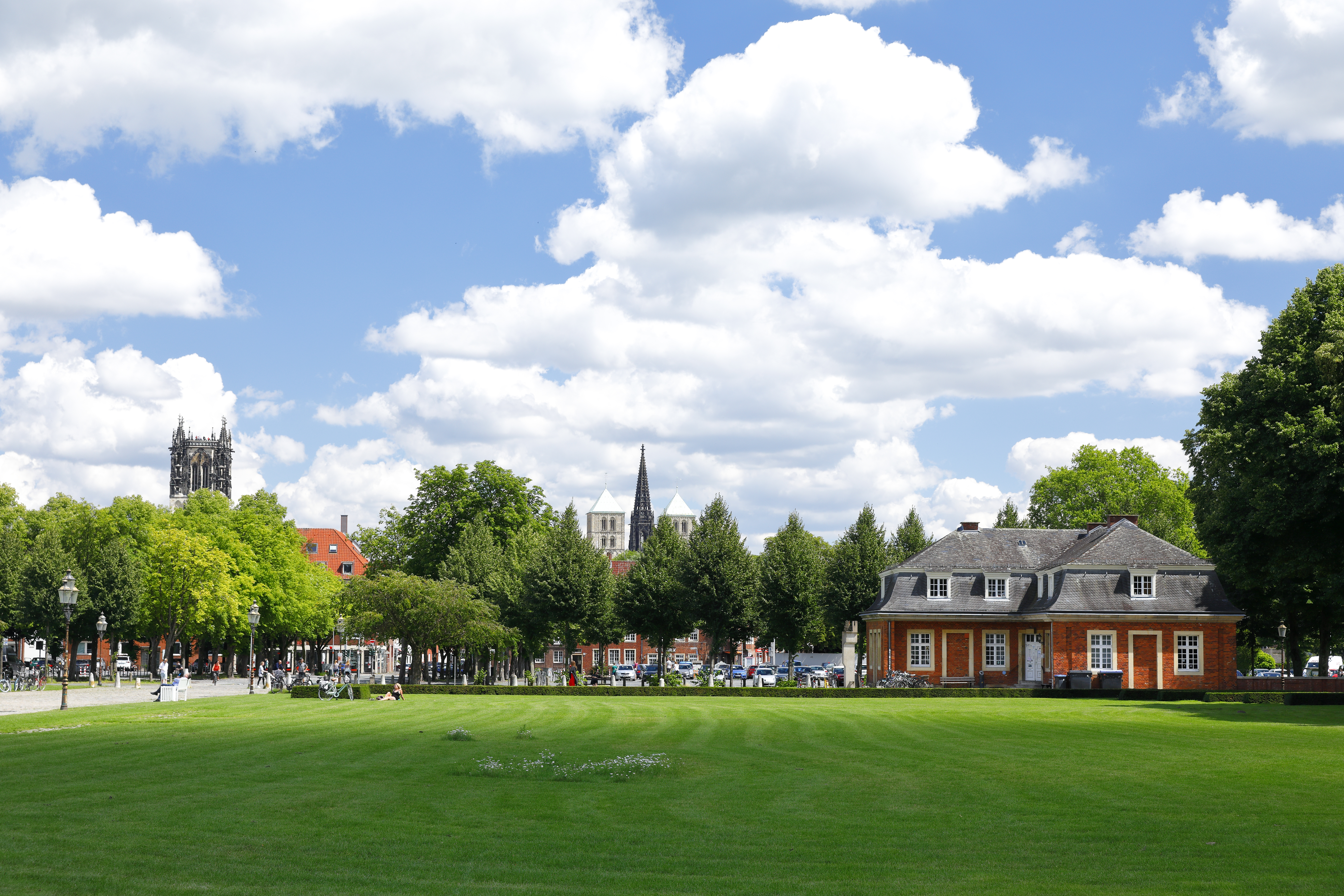 a green lawn with buildings and trees in the background