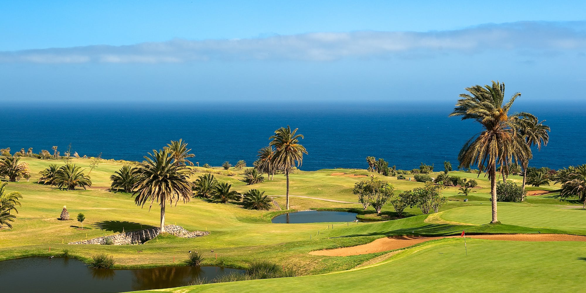 a golf course with palm trees and water