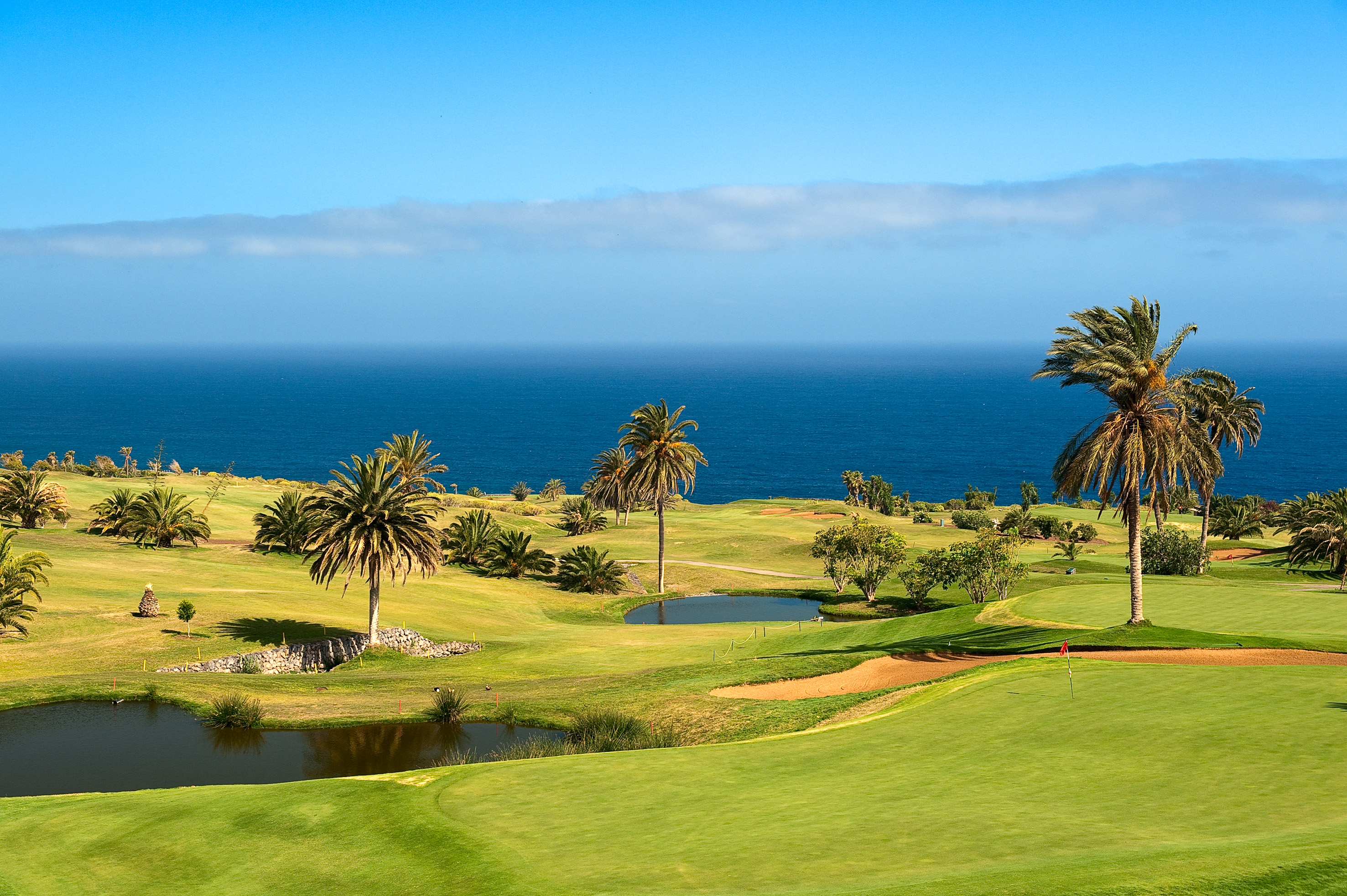 Coastal golf course with palm trees, water hazards, and ocean view.