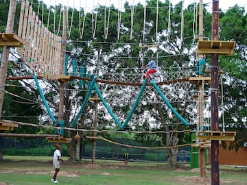a person on a rope bridge