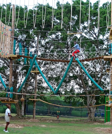 a person on a rope bridge