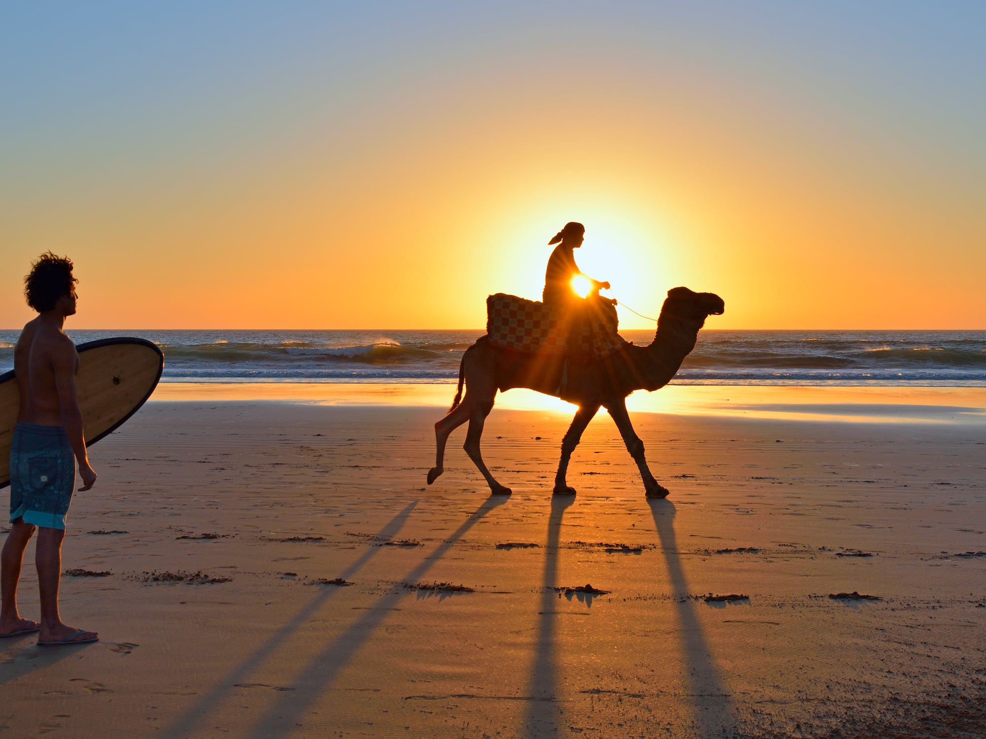 Silhouetted surfer and camel rider on beach at golden sunset.