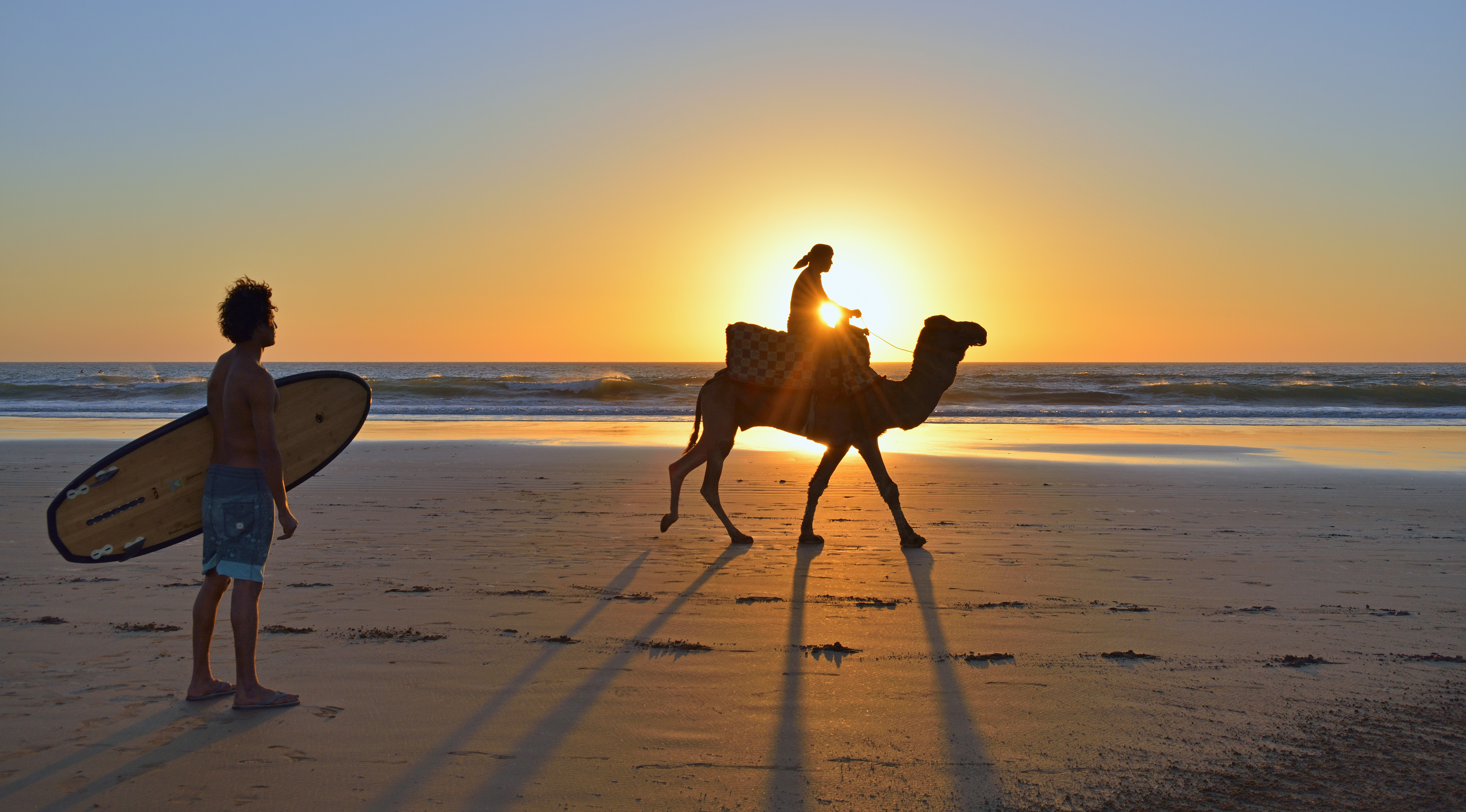 Silhouetted surfer and camel rider on beach at golden sunset.